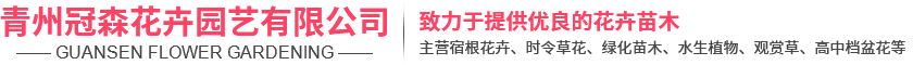 青州冠森花卉園藝有限公司